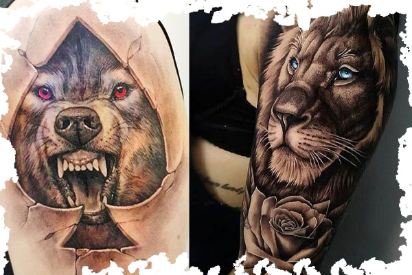 تتو حیوانات