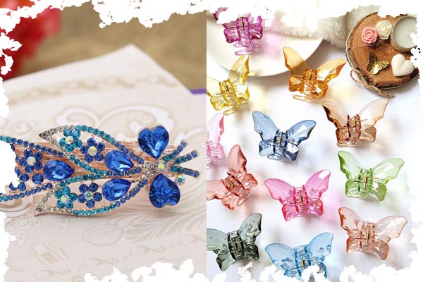 کلیپس مجلسی