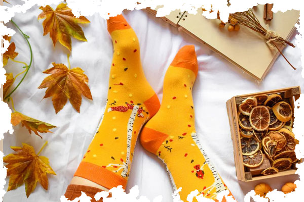 خرید هدیه پاییزی