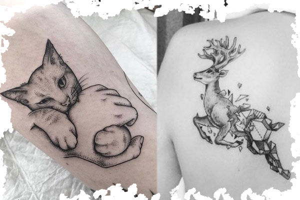 تتو حیوانات