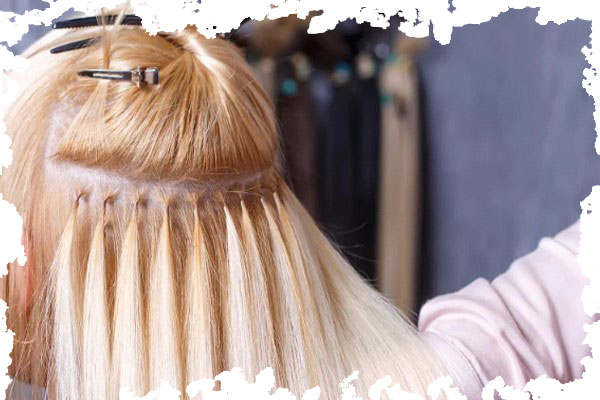 اکستنشن مجلسی