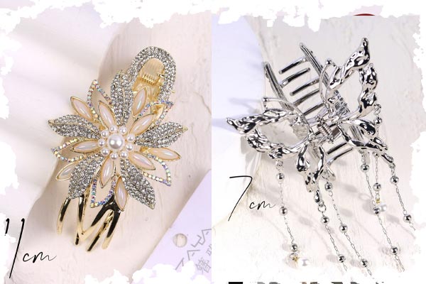 کلیپس مجلسی