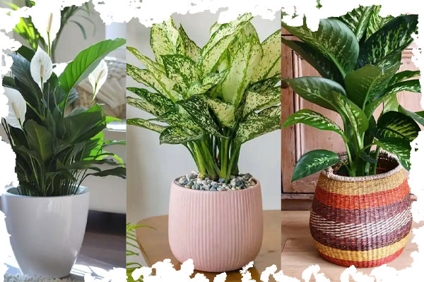 6. گلدان های فانتزی با گلهای فصلی