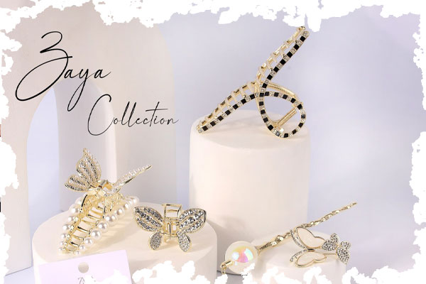 2. کلیپس ‌های مجلسی برای مهمانی ‌ها و مراسمات رسمی