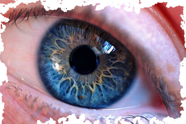 عکاسی از اکسسوری